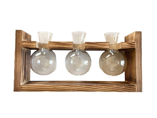 3 Glass Bulb Wooden Houseplant Propagation Station