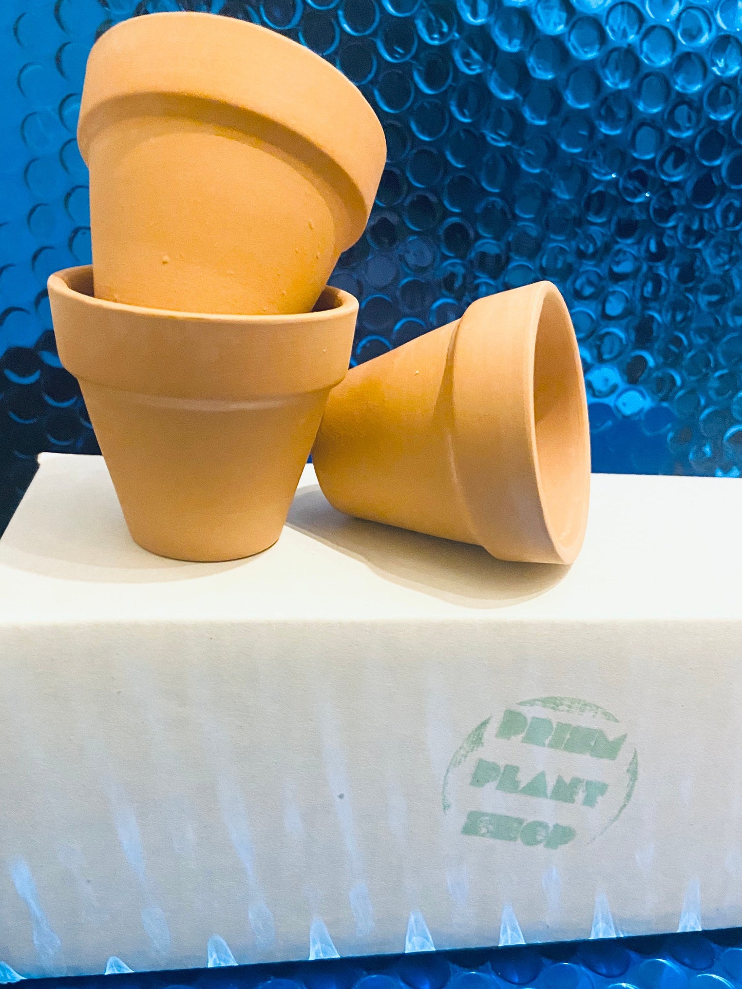 Terracotta Pot Mini Planter