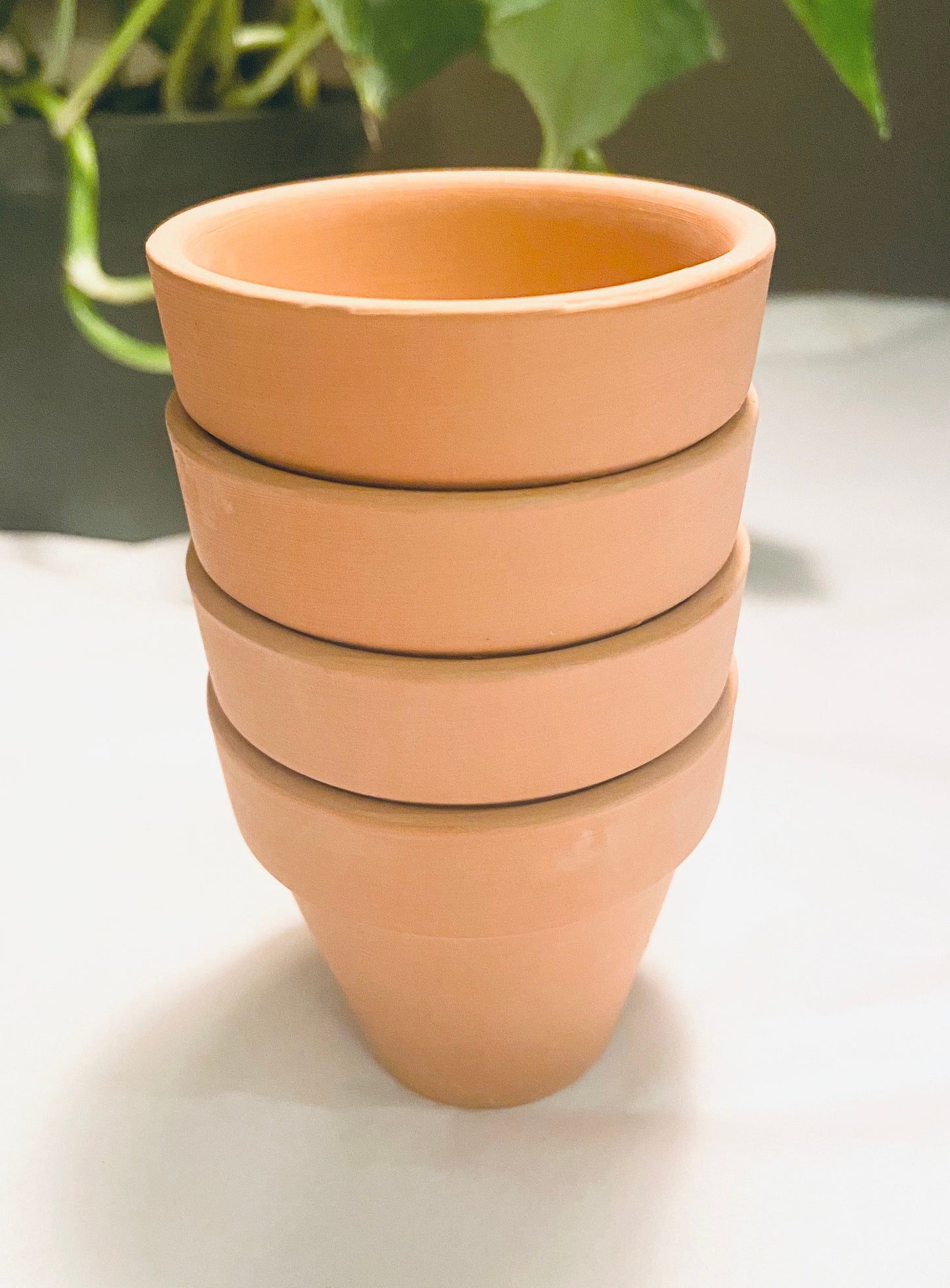 Terracotta Pot Mini Planter