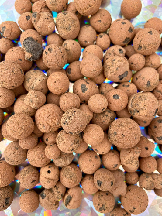 LECA Clay Balls Growing Media