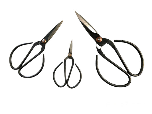 Indoor Plant Propagation Scissors